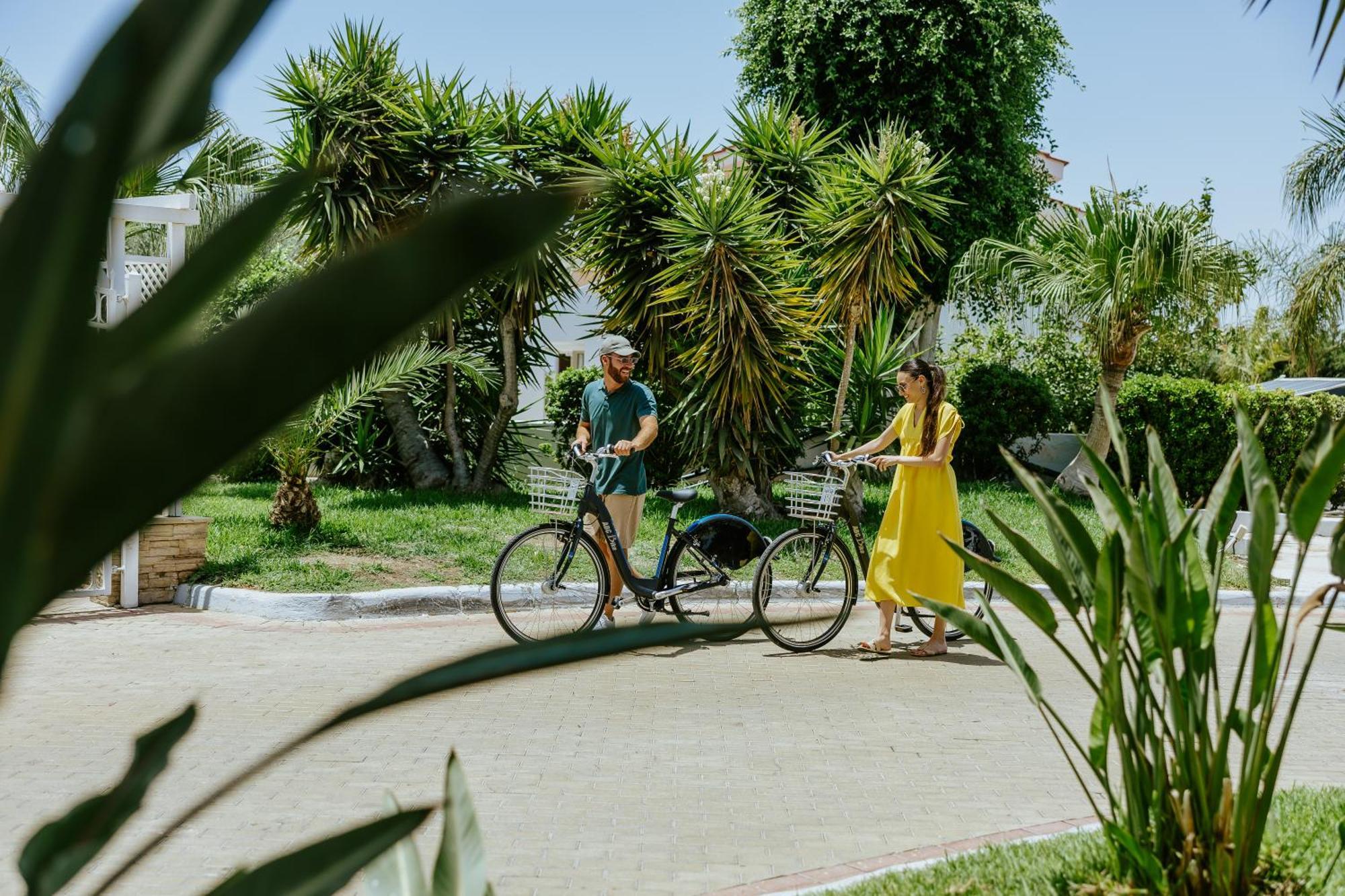 Lordos & 4* Larnaca
